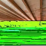 Segles 11